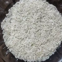 انواع برنج ایرانی به شرط پخت