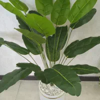 گل های مصنوعی|گل مصنوعی|فولادشهر, مسکن مهر فولادشهر|دیوار