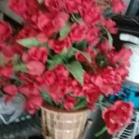 گل وگلدان|گل مصنوعی|ایلام, |دیوار