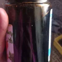 شیره خرما