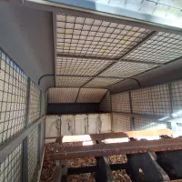 چادر ویزیتوری&اتاق مزدا|قطعات یدکی و لوازم جانبی|نکا, |دیوار