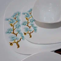 سرویسپذیراییارکوپال ۲۶پارچه ایتالیایی نو|ظروف سرو و پذیرایی|قرچک, مهدیه|دیوار