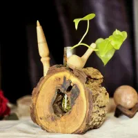 گلدان چوب طبیعی/همراه با مرغ آمین و خودکار چوبی|صنایع دستی و سایر لوازم تزئینی|قم, نیروگاه|دیوار