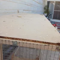 قفس بزرگ پرنده شهرضا|لوازم جانبی حیوانات|شهرضا, |دیوار