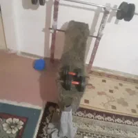 میز پرس با دمبل و ۲۰ کیلو وزنه با هالتر