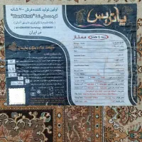 دو تخته فرش سنگین وزن12متری(شاه کارمشهد و پاتریس)|فرش|همدان, |دیوار