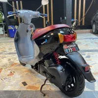 پاکشتی لتس فور50cc|موتورسیکلت|گنبد کاووس, |دیوار