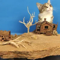 دیوراما وسترن رومیزی، دکوری، ماکت دستساز|مجسمه، تندیس، ماکت|اصفهان, عباس‌آباد|دیوار