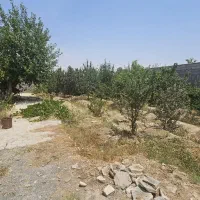 باغ چهاردیواری قلعه سفید