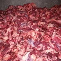 پخش خرده گوشت تازه گوساله نر850000هزارتومان