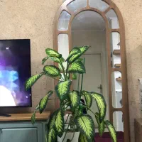 آینه قدی