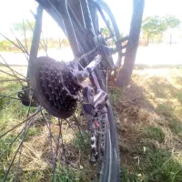 دوچرخه دنده ای ویوا