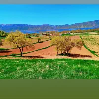 زمین-کشاورزی-روستای-کولان