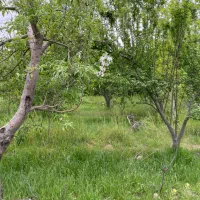 باغ-سند-تکبرگ