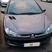 ۲۰۶ تیپ ۲ سالم