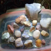 تعدادی سنگ زینتی