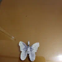 بدیل جات قیمت توافقی|بدلیجات|پاکدشت, پاکدشت (مامازند)|دیوار