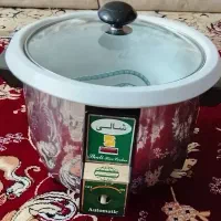 پلوپز برقی