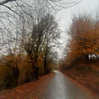 کاملا-مسکونی-در-لاهیجان