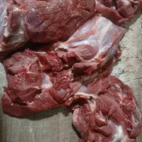 گوشت گوساله(رون-سردست)-خورده گوشت