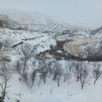 بچه باربندسایپا