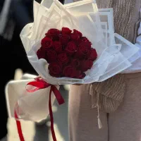 20 شاخه گل رز هلندی باقیمت عمده|گل و گیاه طبیعی|شیراز, بعثت|دیوار