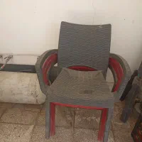 ظرف|ظروف نگهدارنده، پلاستیکی، یک‌بارمصرف|مشهد, کارمندان دوم|دیوار