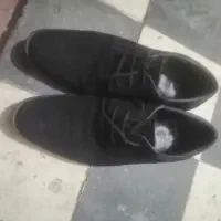 کفش مردانه نو|کیف، کفش، کمربند|شیراز, تندگویان|دیوار