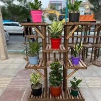 استندگل/پایه گلدان|گل و گیاه طبیعی|یزد, |دیوار