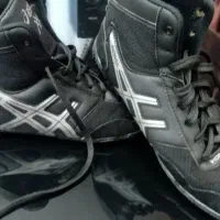 کفش کشتی|کیف، کفش، کمربند|اردبیل, |دیوار