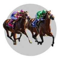 اسب کورسی عرب با شجره قوی