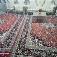 فروش فرش|فرش|دامغان, |دیوار