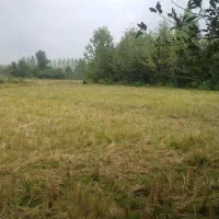 ویلاباغ نوساز ۲۸۰۰م سنددارسنگرسراوان قاضیان|فروش خانه و ویلا|سنگر, |دیوار