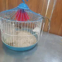 سهره خاکی بخون شلاقی