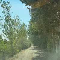 باغچه و باغ ویلا باغستان سعیداباد