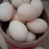 تخم مرغ چینی