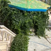 باغ تالار آرشام|خدمات پذیرایی، مراسم|اردبیل, |دیوار