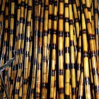 نی خیزران،بامبو|صنایع دستی و سایر لوازم تزئینی|رشت, آتشگاه|دیوار