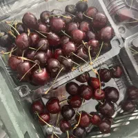 گیلاس تک دانه