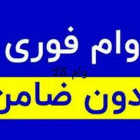 وام 100میلیونی سود بانکی بدون ضامن با یک برگ چک|خدمات مالی، حسابداری، بیمه|شیراز, زند|دیوار