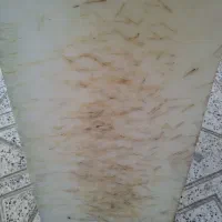 تخته گوشت برای گوشت خورد کردن یا مرغ خورد کردن