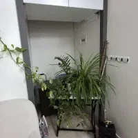 رهن کامل حیاط دربست راه مجزا