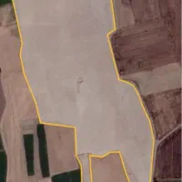اجاره زمین کشاورزی در روستای باقراباد ۱۶.۵ هکتار