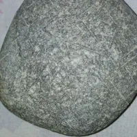 انگشتر وفسیل