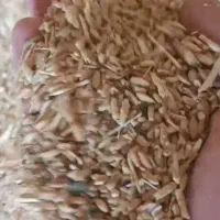 نیم دانه خوراک دام