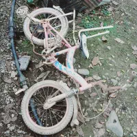 دوچرخه|دوچرخه، اسکیت، اسکوتر|ماسال, |دیوار