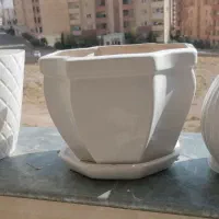 گلدان|گل و گیاه طبیعی|صدرا-فارس, فاز ۱|دیوار