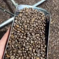 فروش دان قهوه