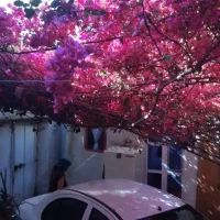 اجاره روزانه خانه ویلایی ۷۵ متری در هفت تیر