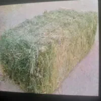 قریونجه خالص نقد کارت کش ۲6۵،00